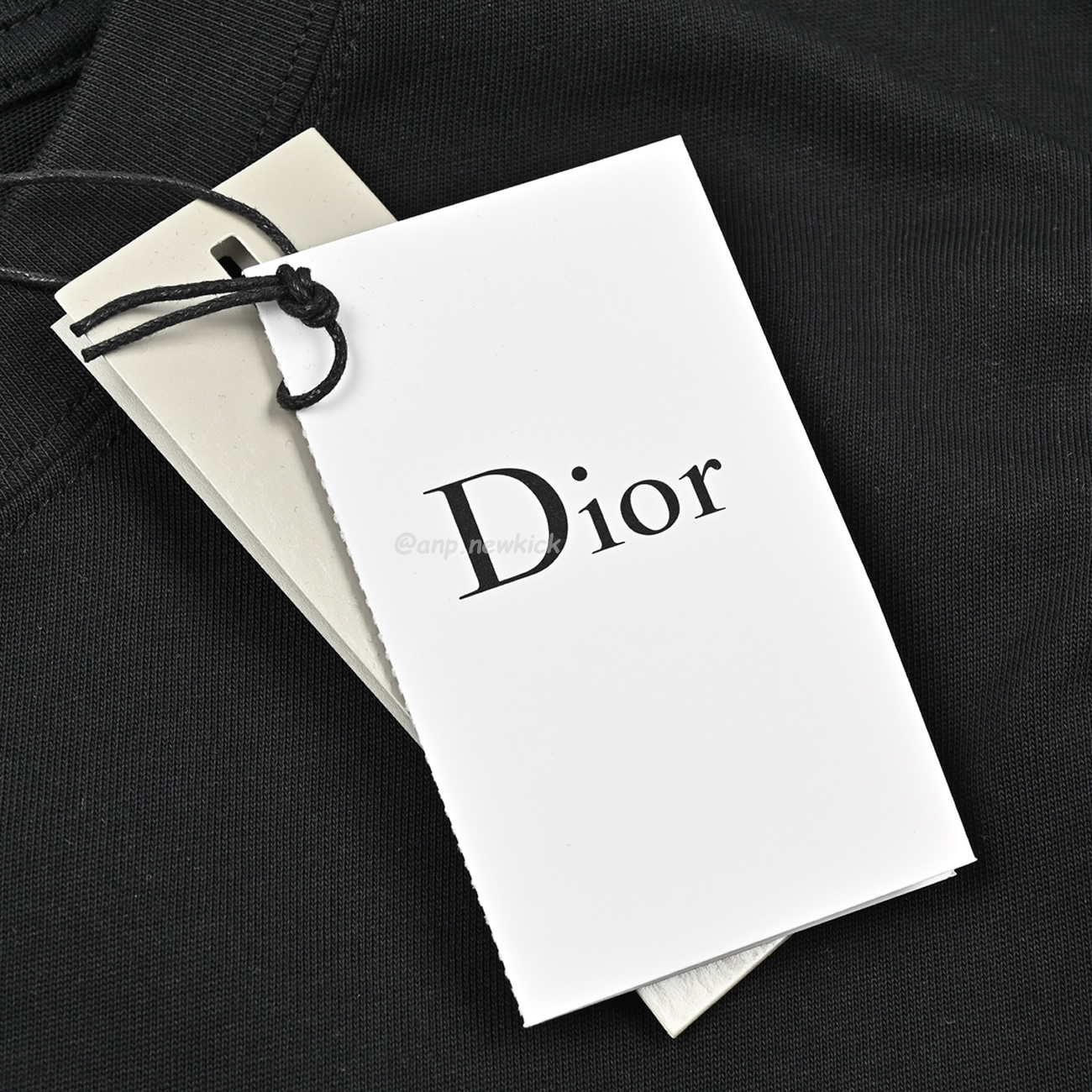 Dior 24ss Pin Logo Contrasting Embroidered Short Sleeved T Shirt (7) - newkick.cc